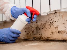 Why You Should Choose Our Mold Remediation Services in Kentwood, LA